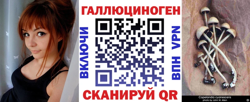 Псилоцибиновые грибы Psilocybine cubensis  Уяр 